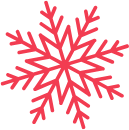 logo snowflake