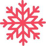 logo snowflake