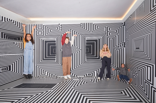 Ames Room Twist Museum