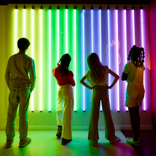 Twist Museum Light Wall